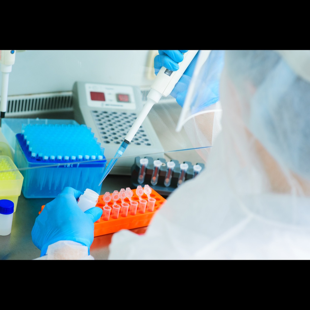 2x SYBR Green qPCR Master Mix  Low ROX