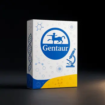 [FM-AX-MAG-PCR-CL-5] Gentaur PCR Clean-Up Kit - 5ml
