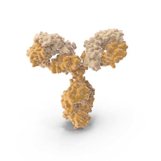 [0544-MBS438413-02] Bax (Apoptosis Marker) Mouse Monoclonal Antibody